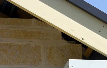 soffit repair Coneygar