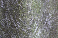 Coneygar fibreglass roof work